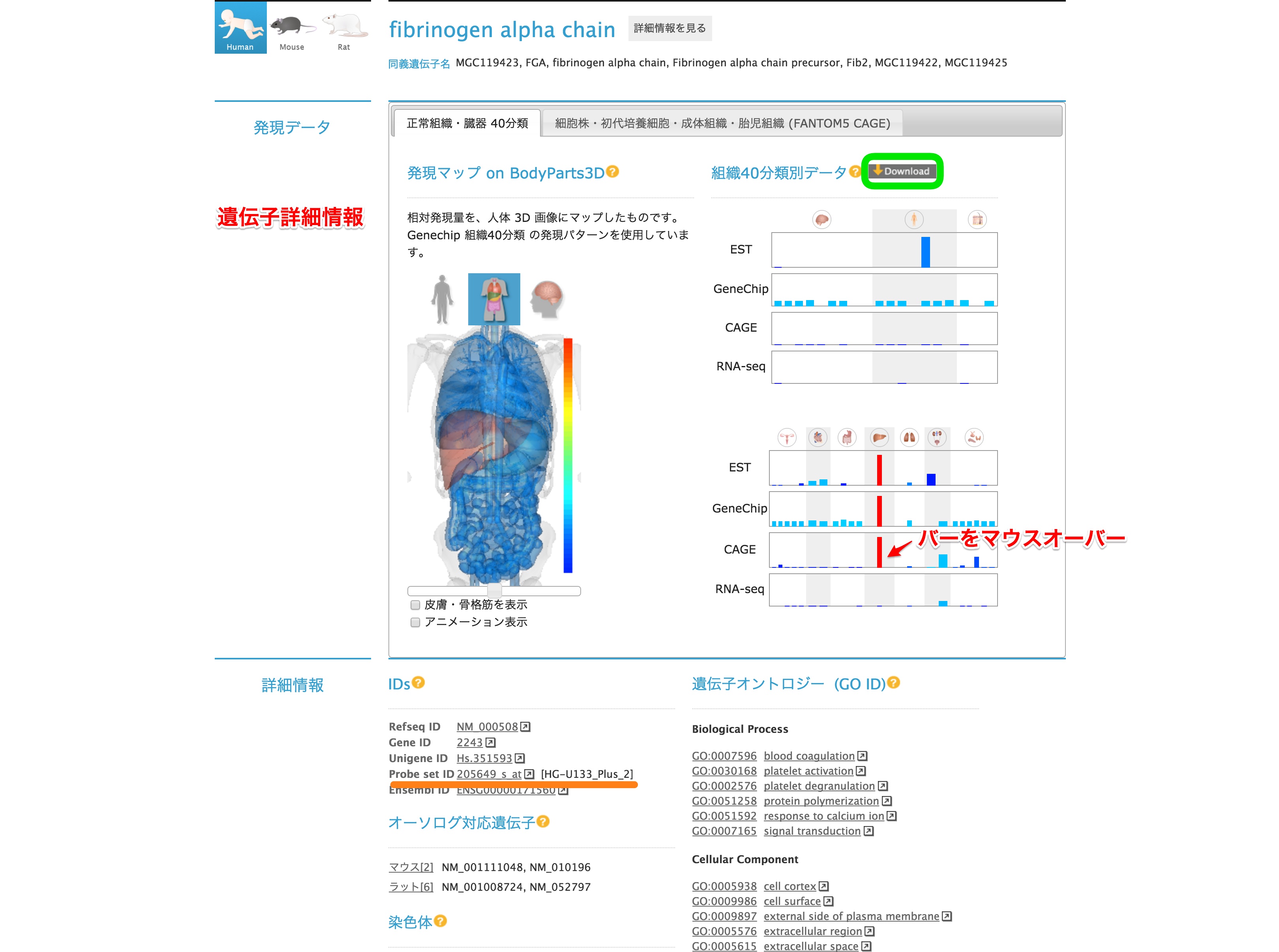 遺伝子詳細情報