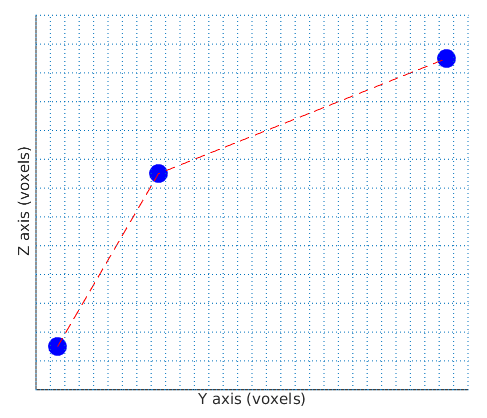 PolyLine ROI example