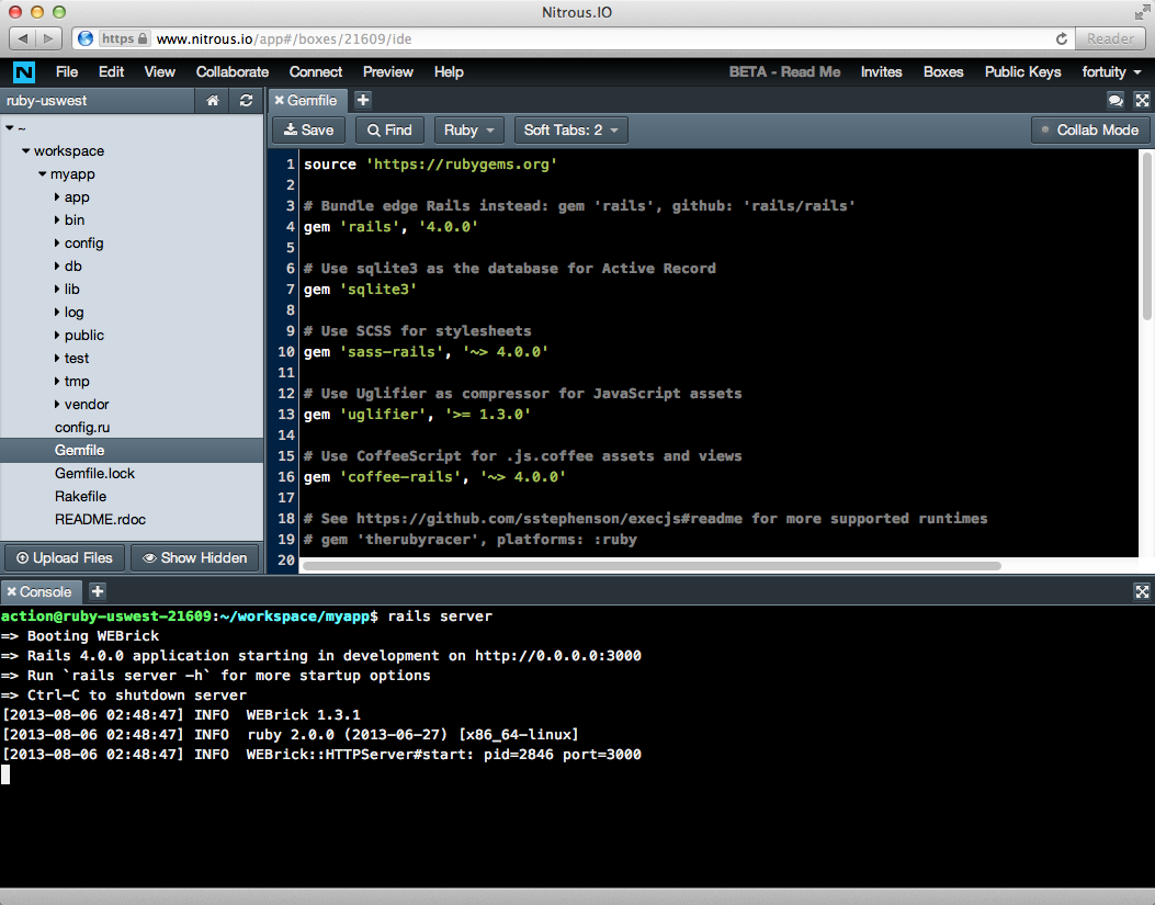 Installing Rails on Nitrous - Rails Application in the Web IDE