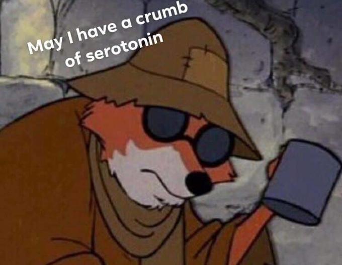 serotonin meme