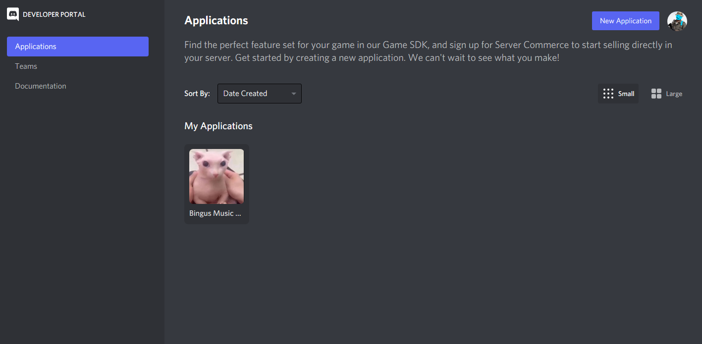 Creating a Discord Application