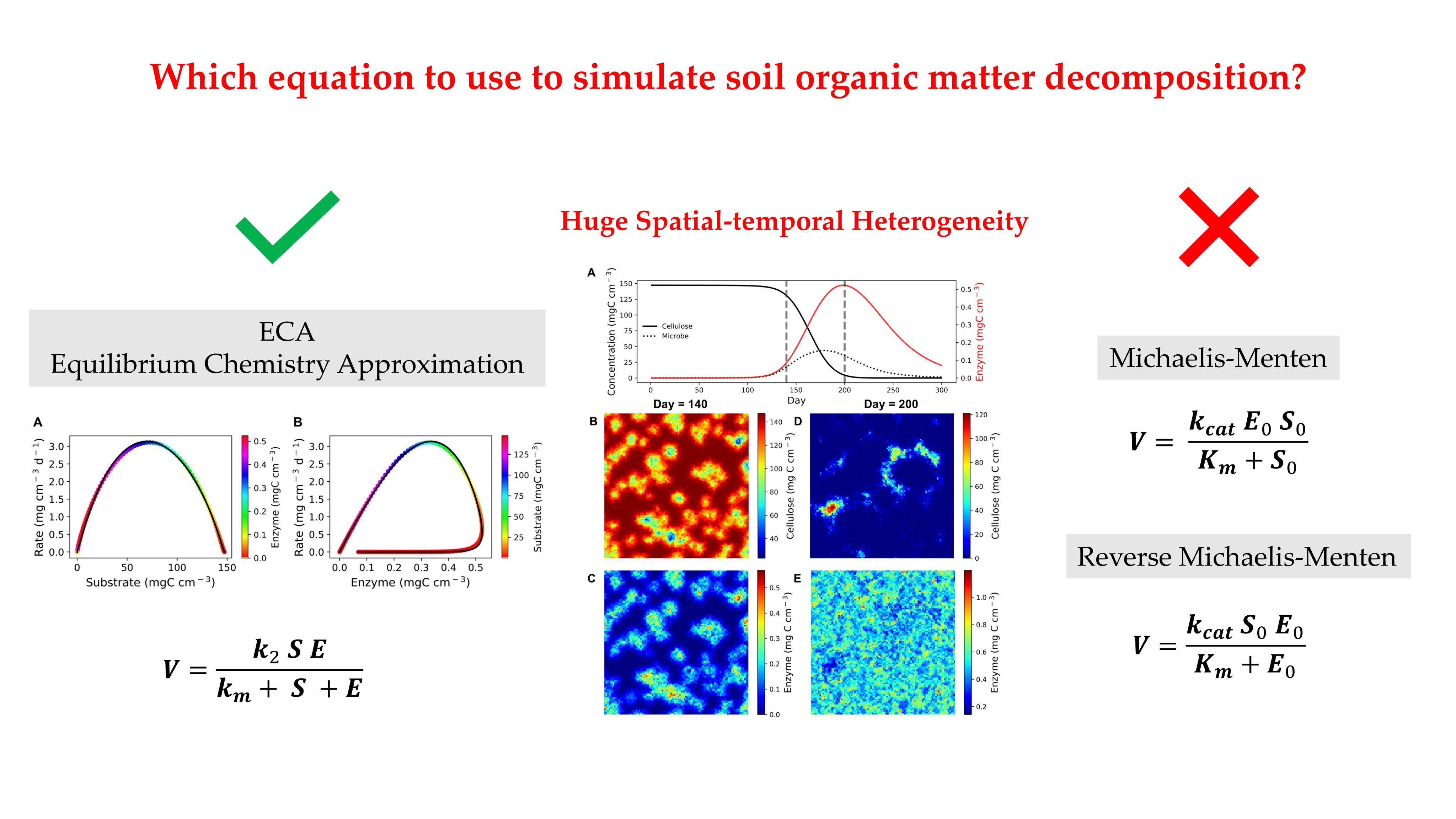 Emergent Enzyme Kinetics