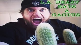 L.A. BEAST EATS A CACTUS