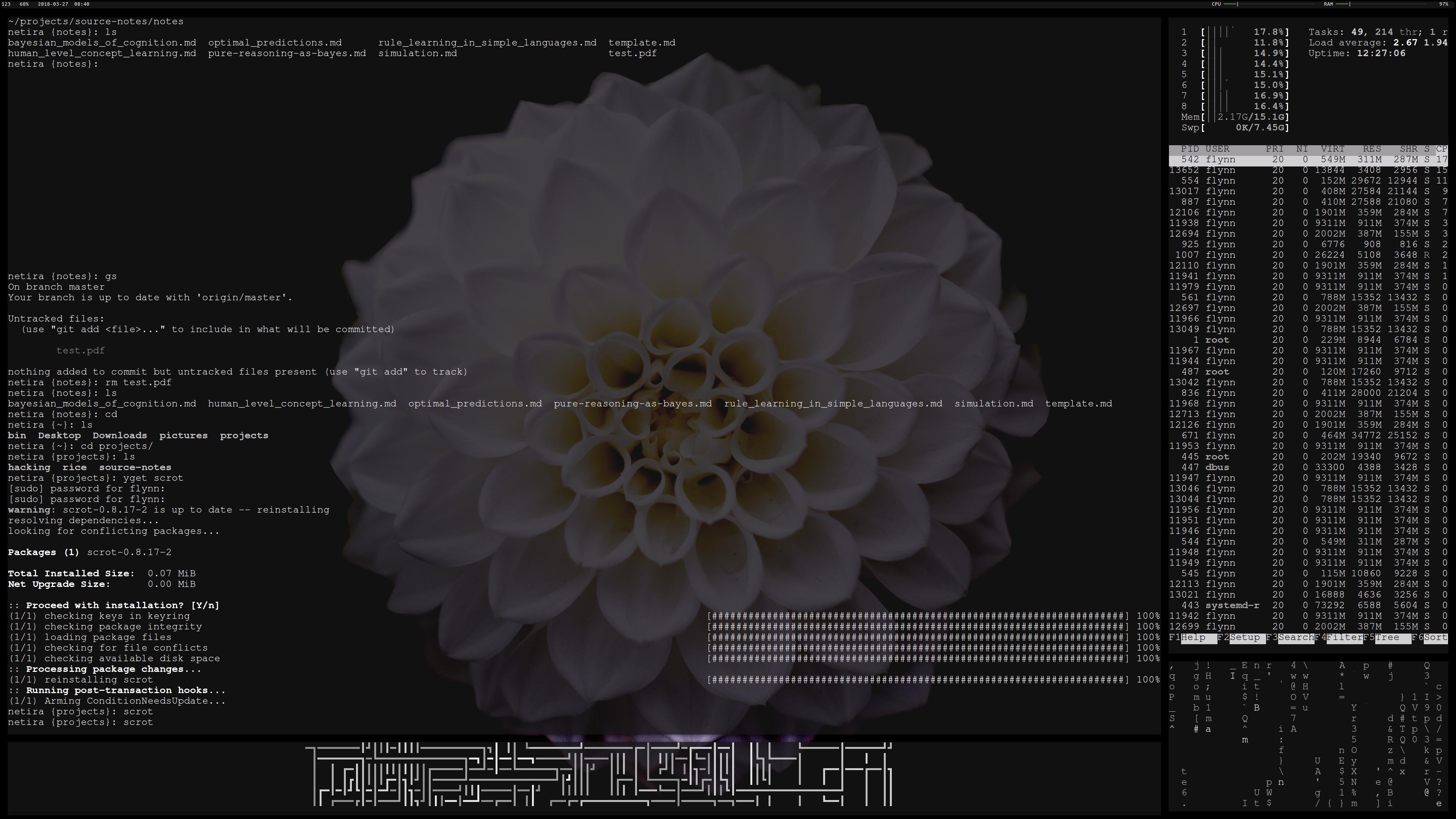 GitHub - LSaldyt/rice: My arch linux dotfiles [category:meta] · GitHub