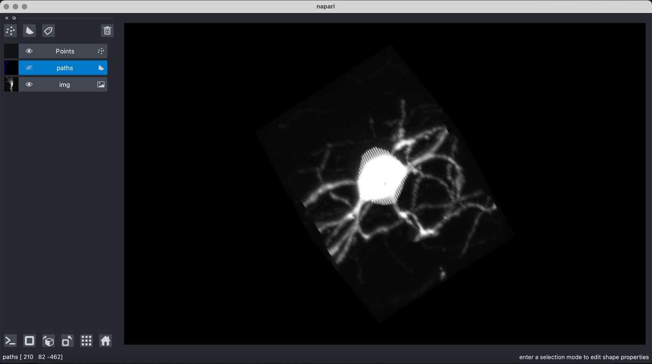 napari screenshot