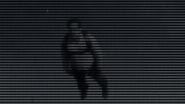 256 Colors Animated ASCII Art