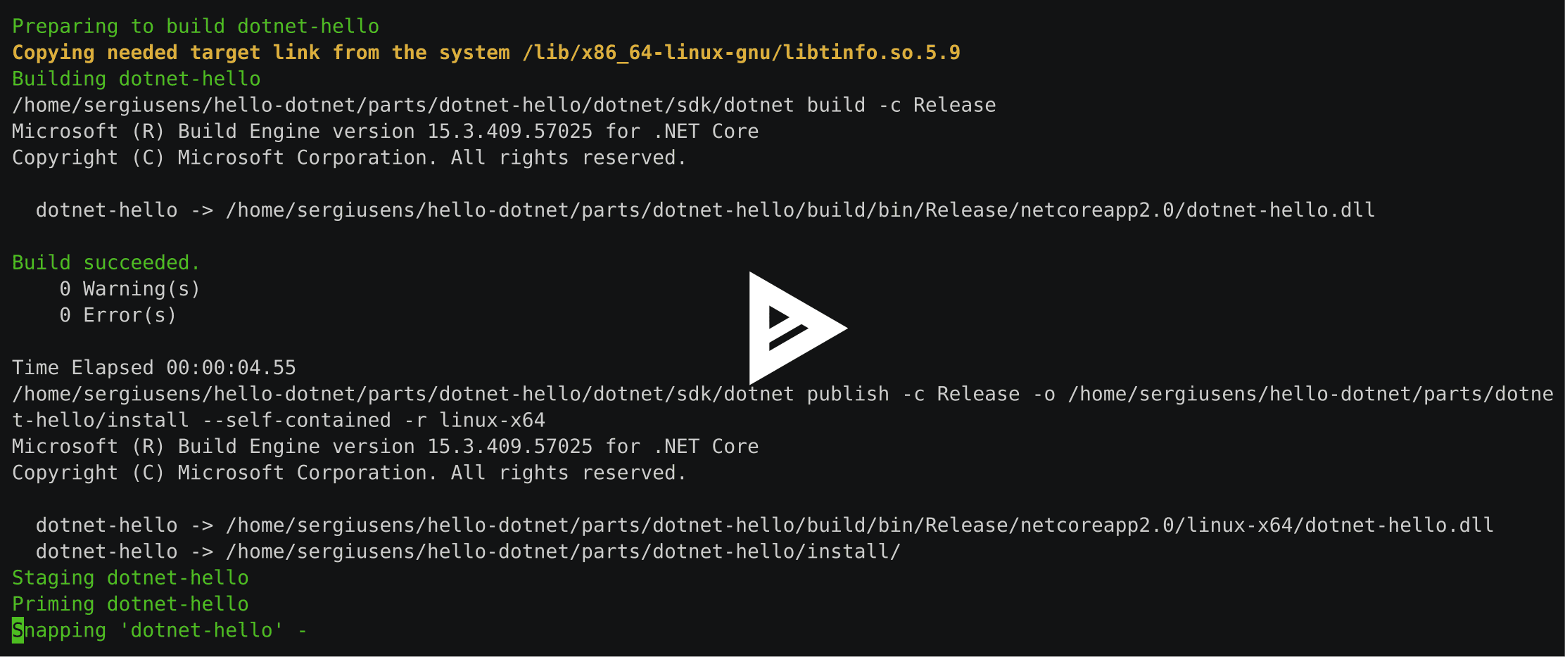asciicast