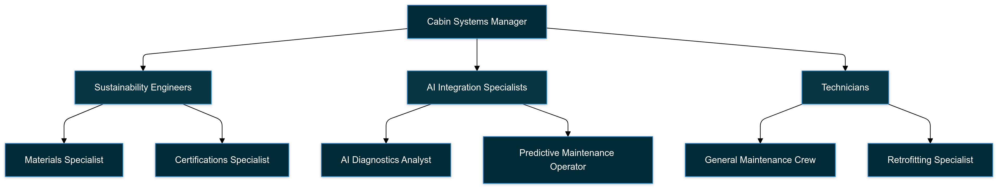 Cabin Maintenance Organizational Structure