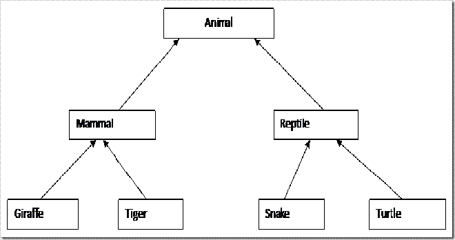 Animal Hierarchy