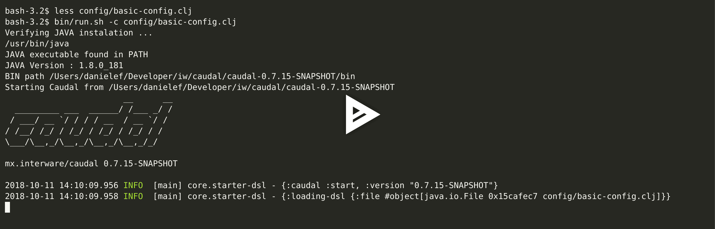 asciicast