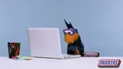 Tired Good Morning GIF by SNICKERS via giphy.com