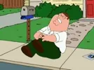 peter griffin fox GIF by Family Guy via giphy.com