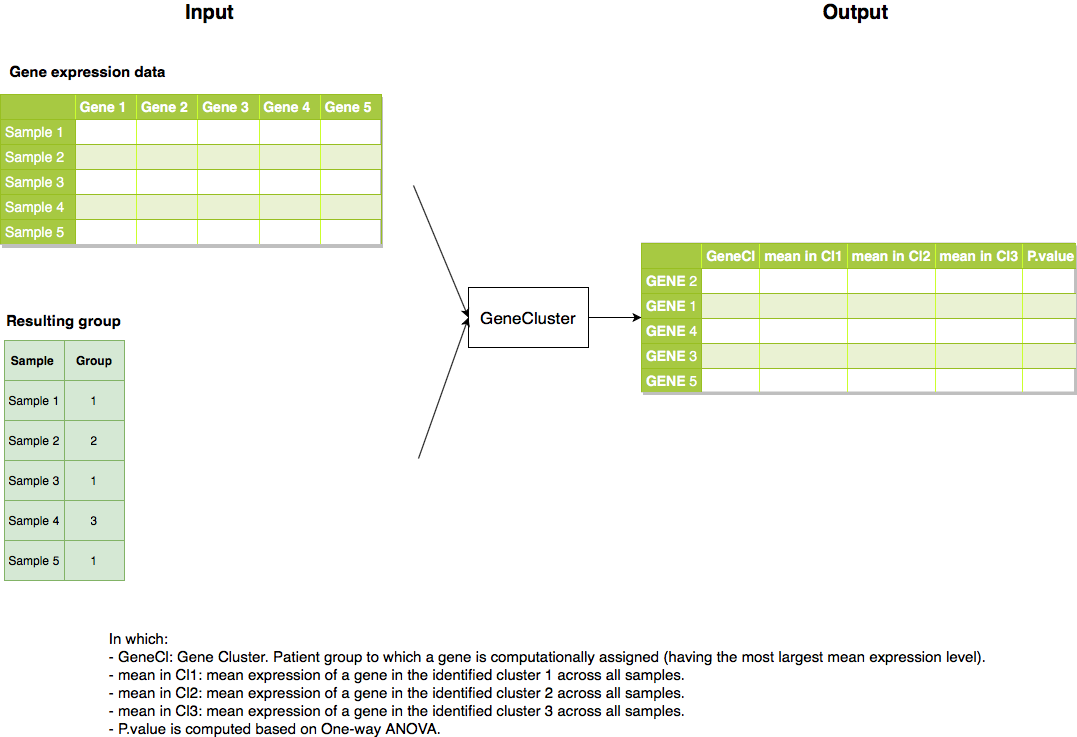 GitHub - huynguyen250896/GeneCluster: Given a gene from a list of genes ...