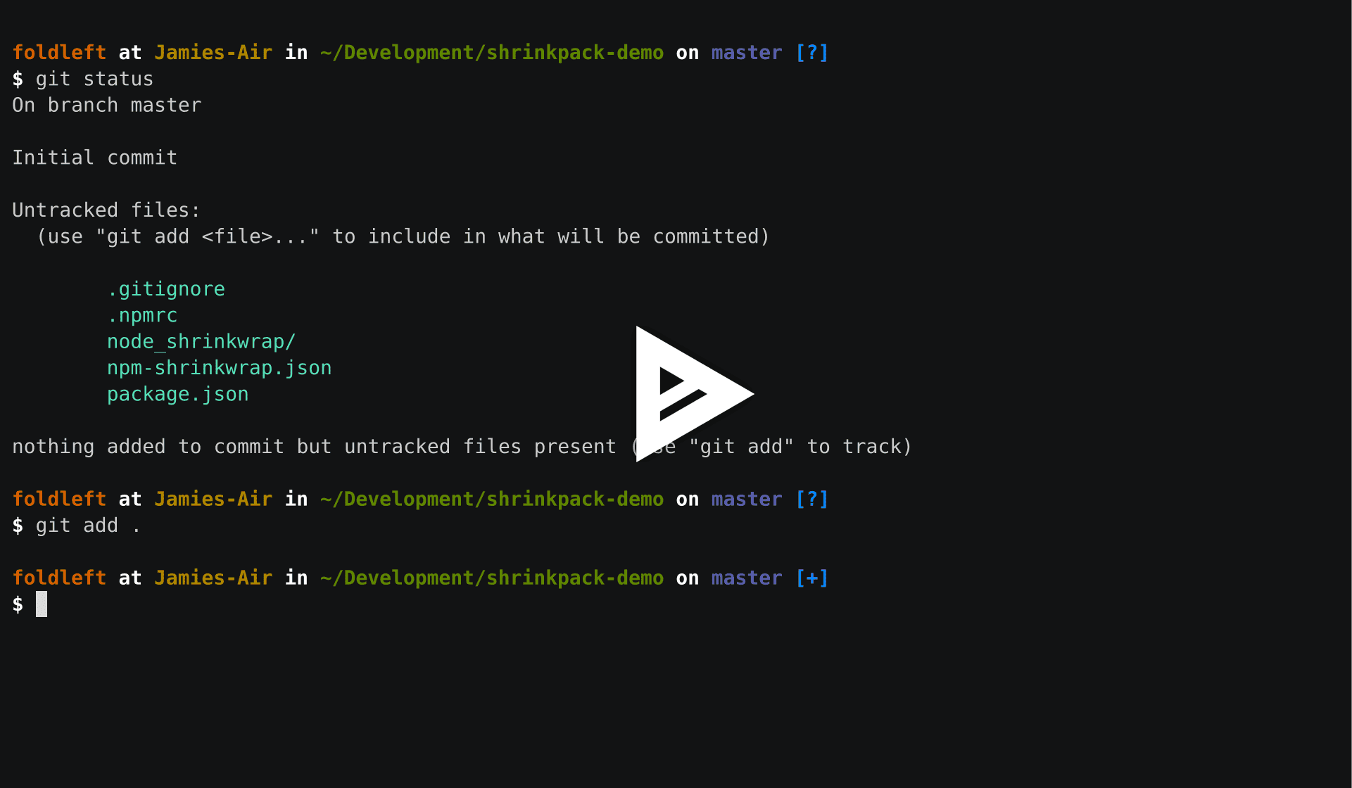 asciicast