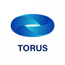 Torus logo