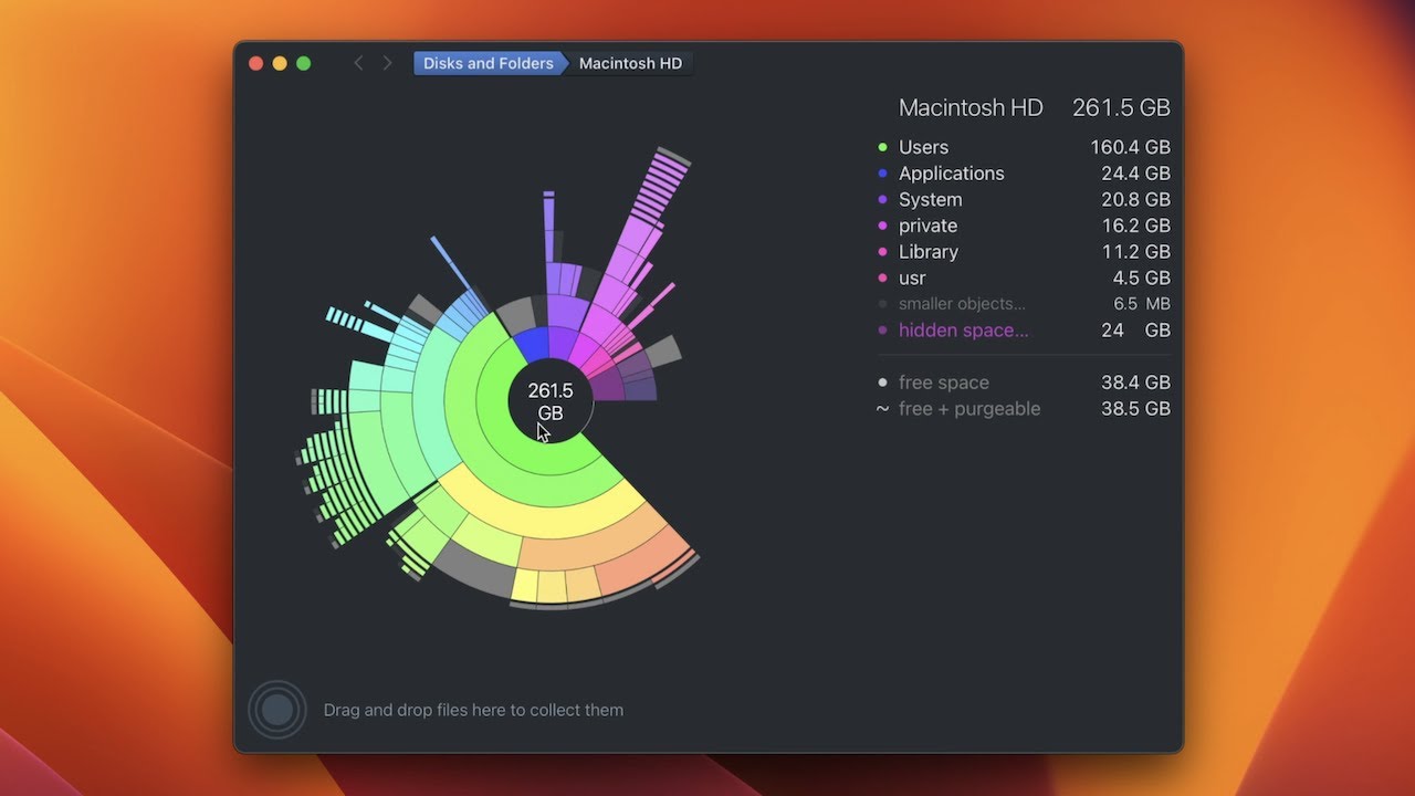 DaisyDisk Mac License Application · GitHub