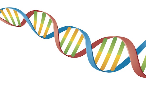 DNA Sequencing Classification System