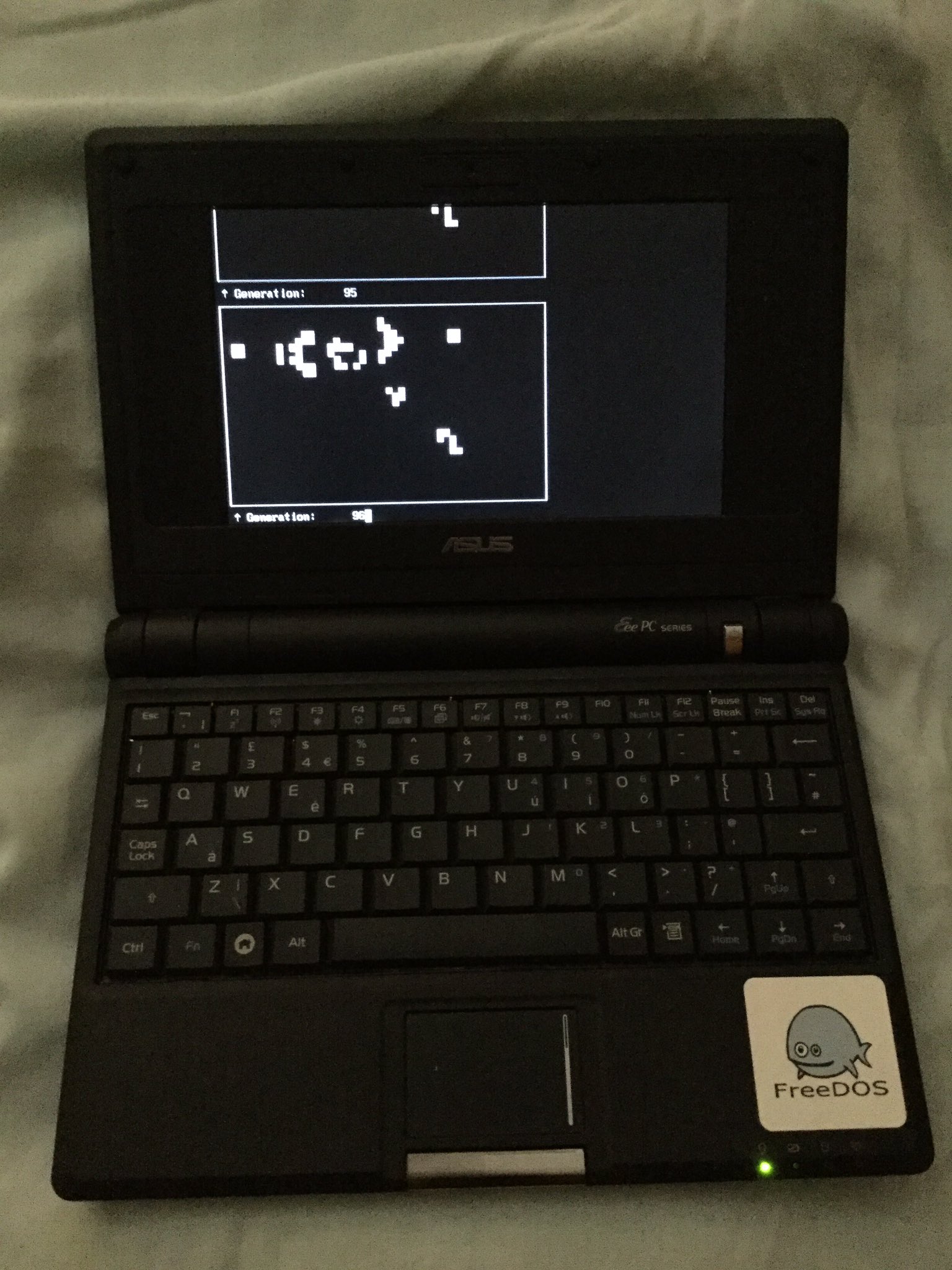 Photo of fortlife running on FreeDOS