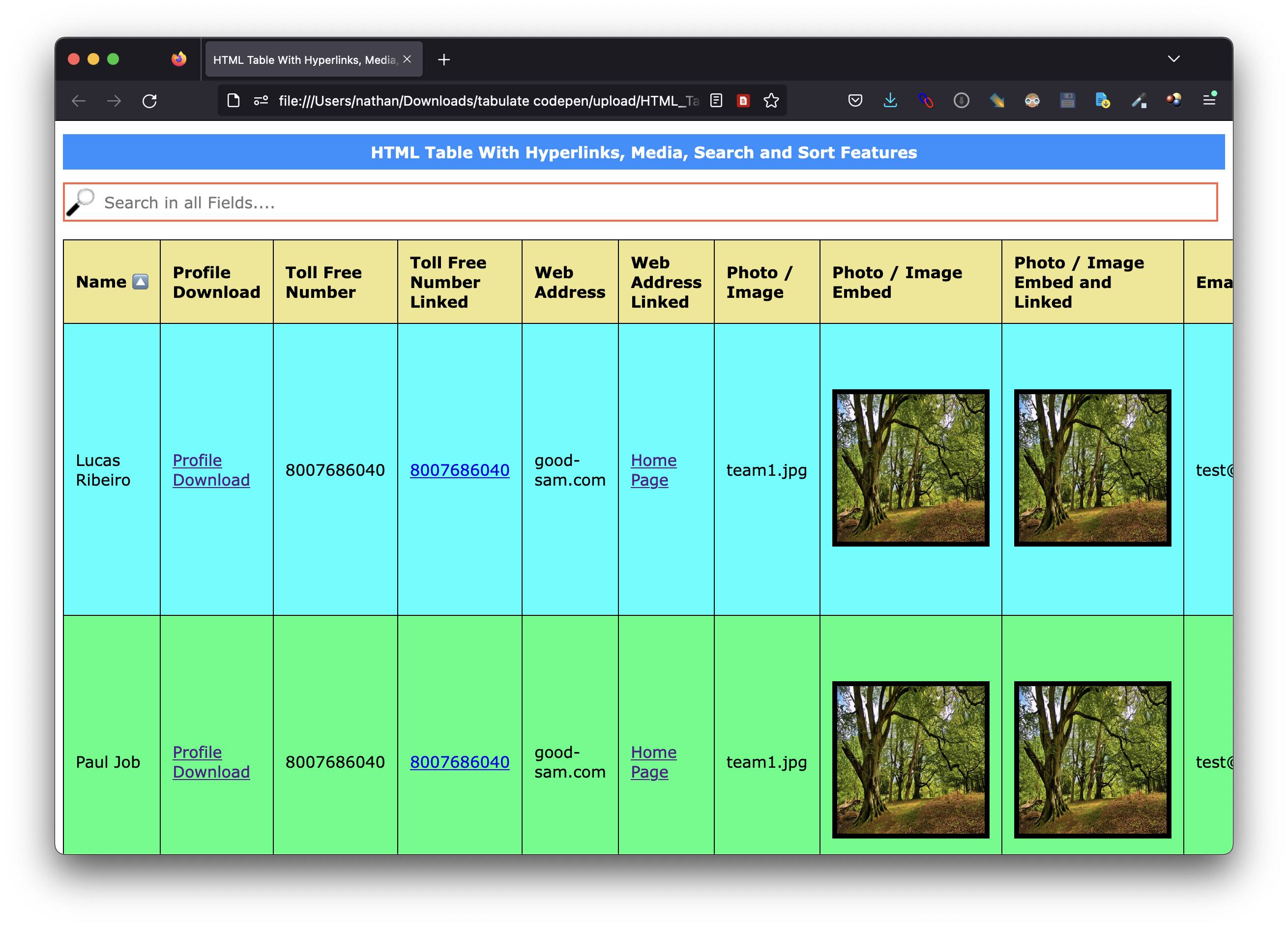 HTML Table With Features