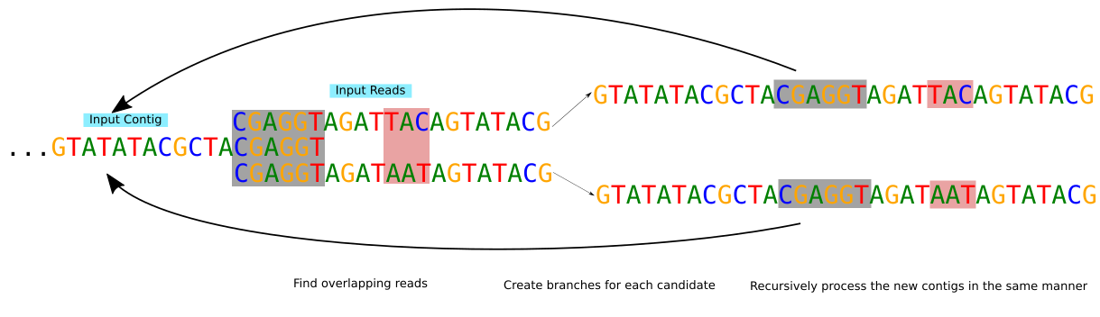 extension process