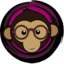 RLSimion logo
