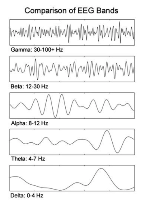 PythonBootcamp/Day 4 - Spectral Decomp.ipynb at master ·  pennmem/PythonBootcamp · GitHub