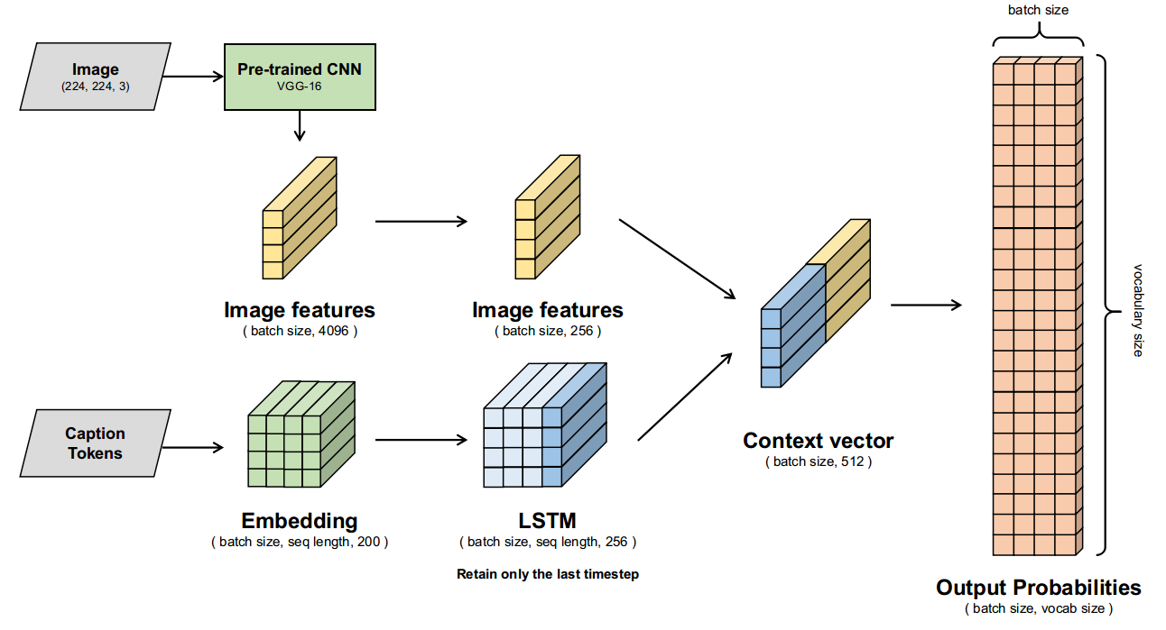 Model architecture