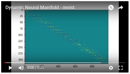 Dynamic Neural Manifold - mnist