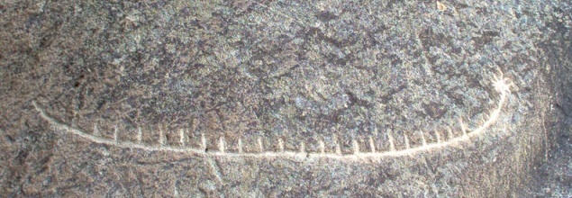 Petroglyph of boat near Caspian Sea