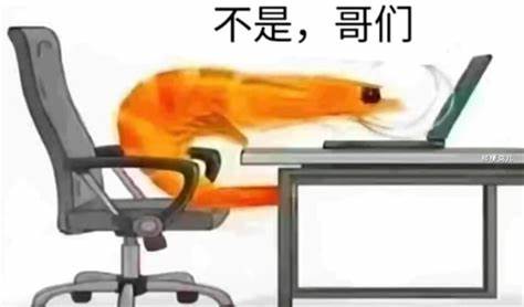 不是