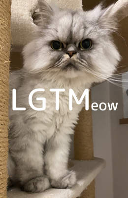 LGTMeow