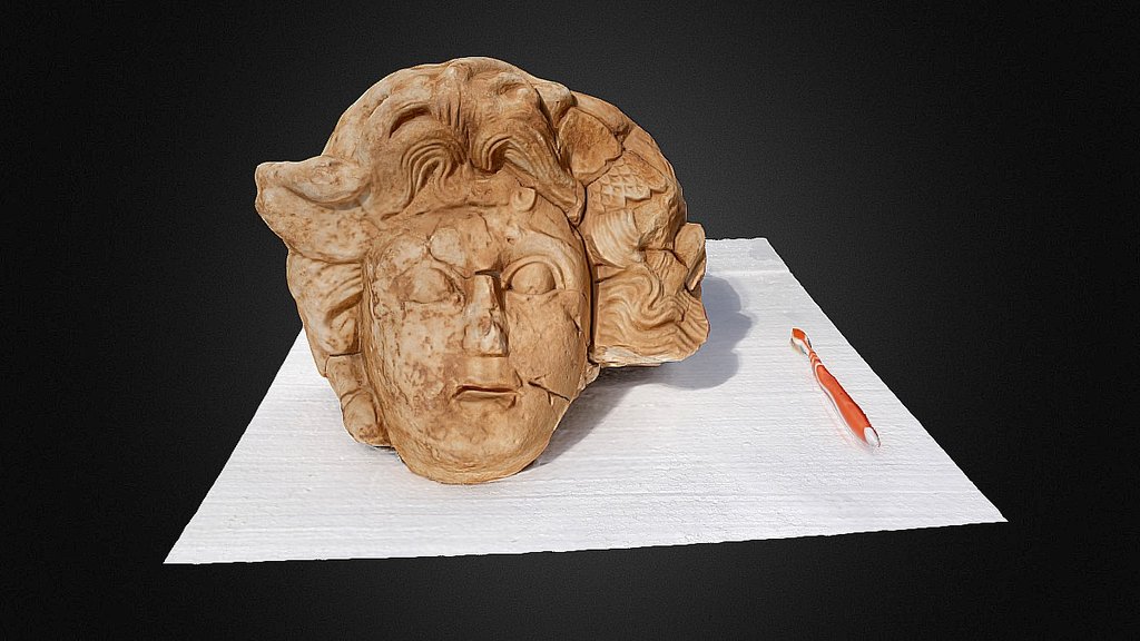 Medusa Head