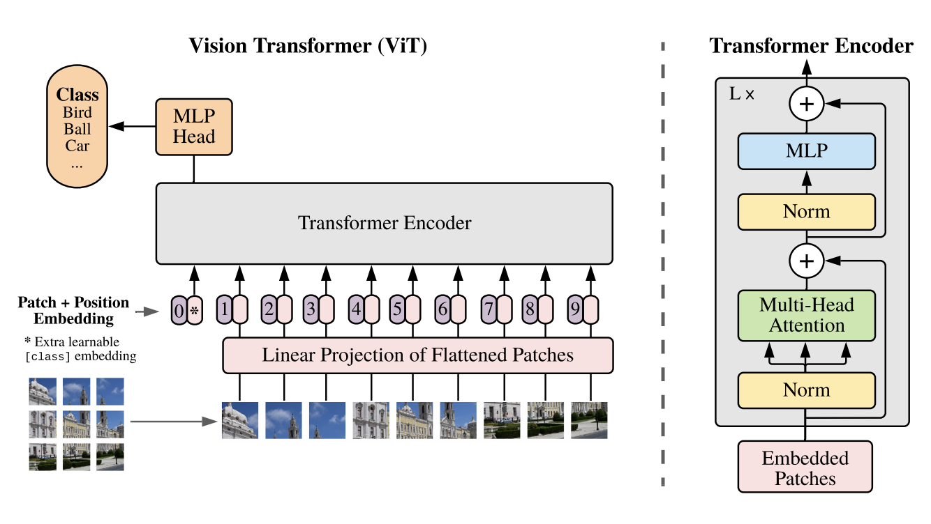 vit_base_patch16_384