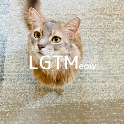 LGTMeow