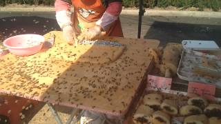 Chinese Street Food Adventures: Bee Mochi! モチ 麻糬 máshu