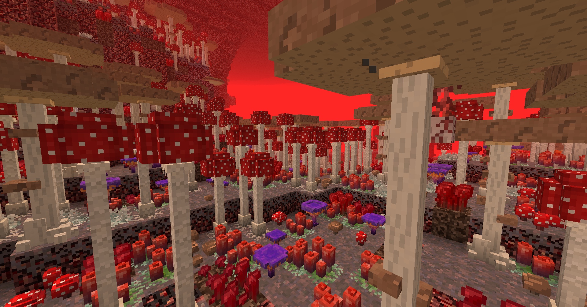 Mushroom Forest