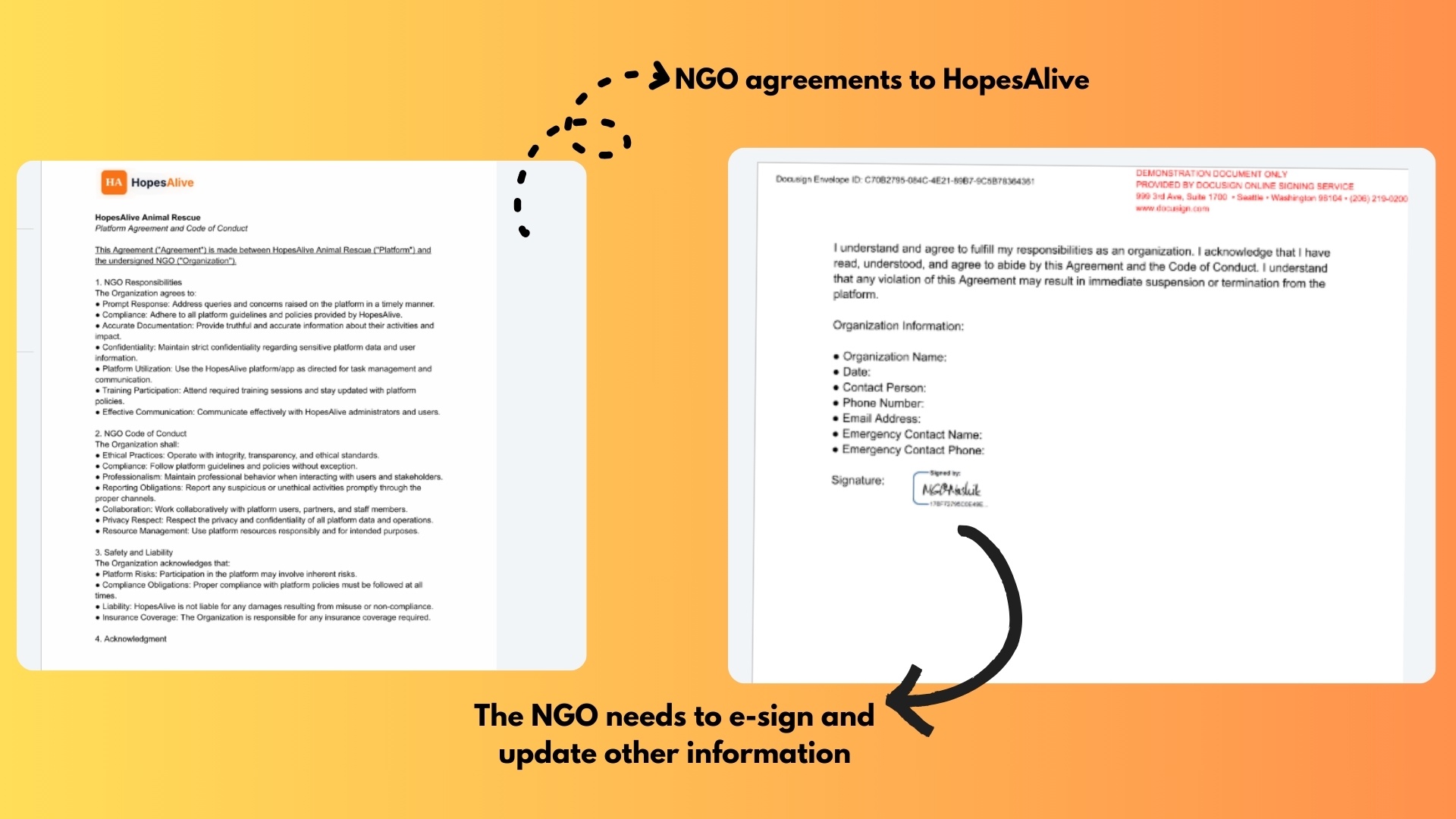 NGO Documentation