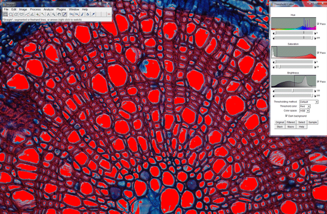 Color Analysis of a cross-section