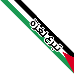 تبرع لغزة