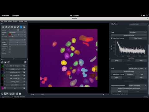 Fluo-C2DL-Huh7