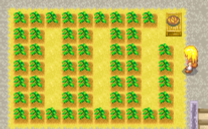 A screenshot of Harvest Moon DS Cute, showing an array of crops.