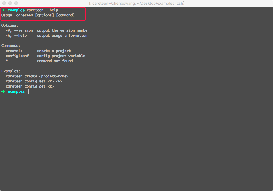 @careteen-cli-example-0