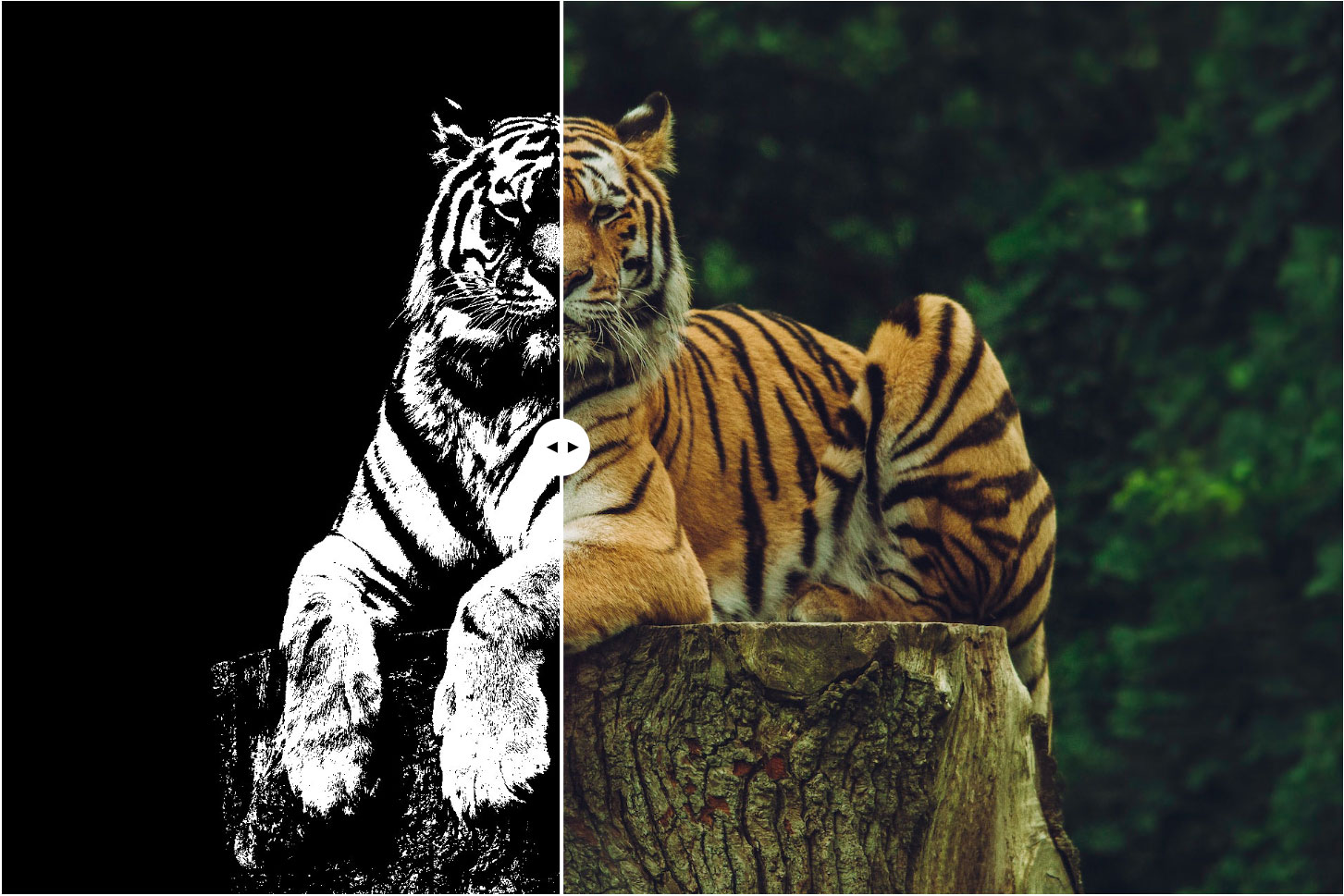 GitHub - ardenmajidi/react-image-splitter: React Image Splitter is a ...