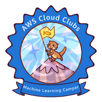 aws badge