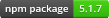 npm package version