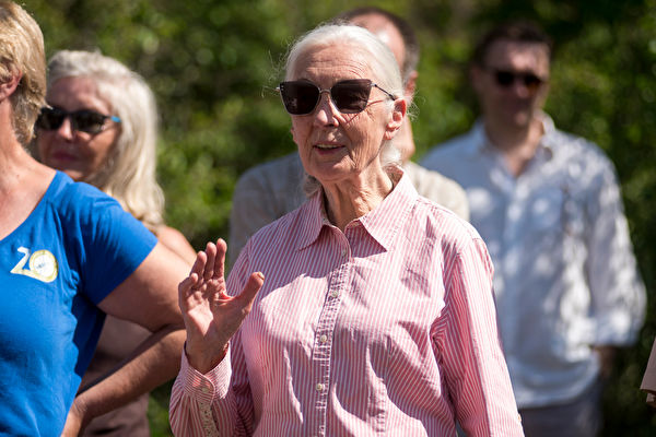 Budapest Hungary - August 09 2019 Jane Goodall Speaks In