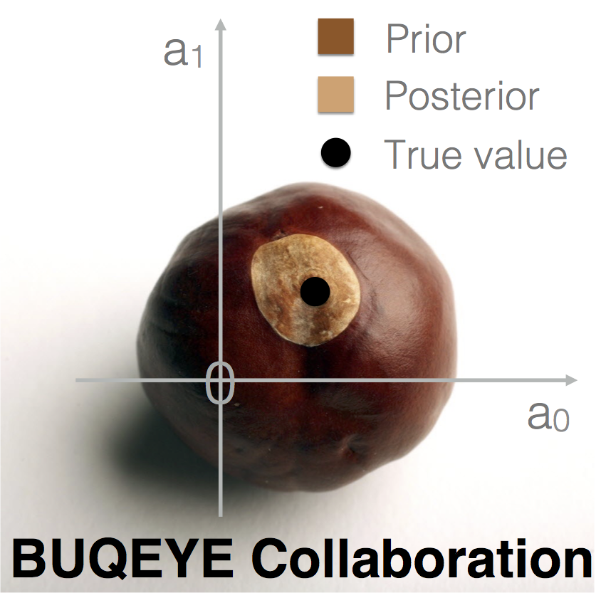 BUQEYE logo