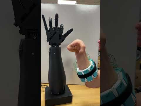 ArmSense Demo