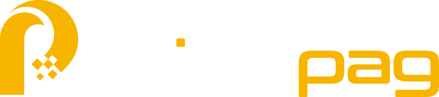 Logo Primepag