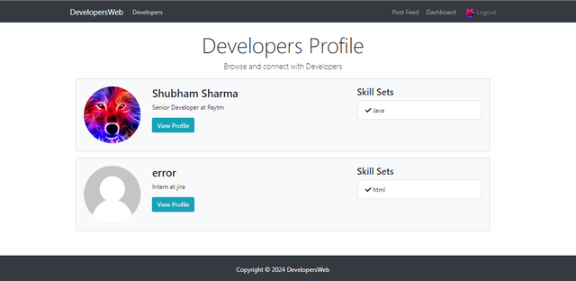 developers-profile-page